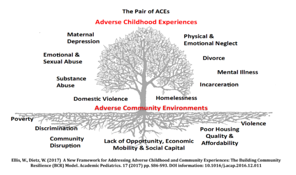 Graphic of tree titled The Pair of ACEs demonstrating adverse community environments at the roots and adverse childhood experiences in the branches