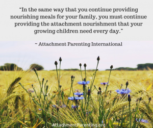attachment-nourishment