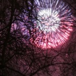 fireworks-behind-tree-1436469-m
