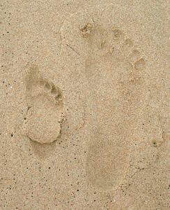 footprints-1053161-m