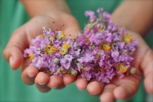 mindfulness-gratitude-children