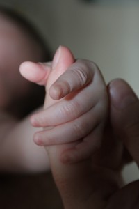 pixabay - newborn hand